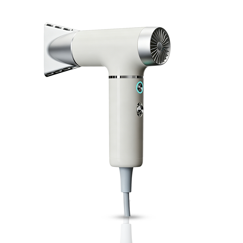 AU750B Smart Temperatur-Control High-Speed-hårtørrer